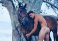 /album/fotos-artisticos/deseo-equino-jpg/